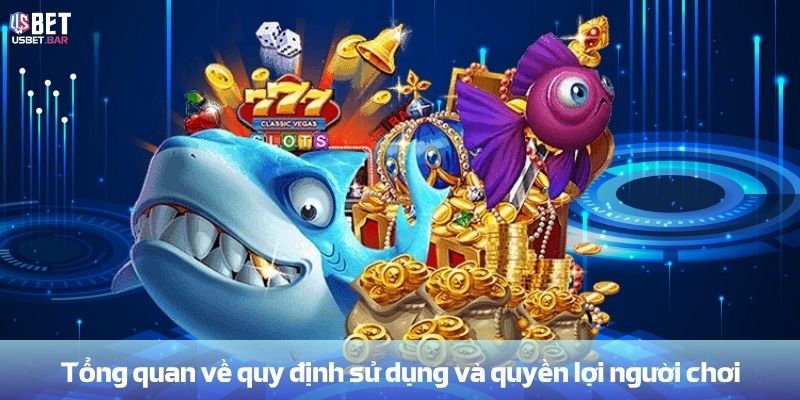 Tổng quan về điều kiện sử dụng và quyền lợi người chơi