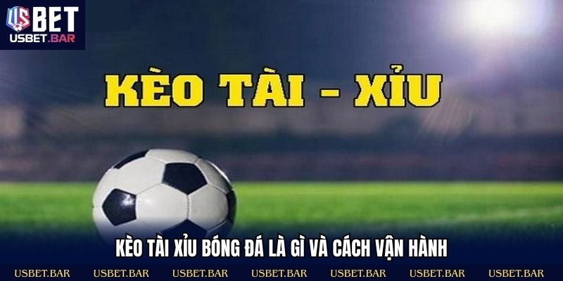 Giải thích kèo tài xỉu bóng đá cùng cơ chế vận hành