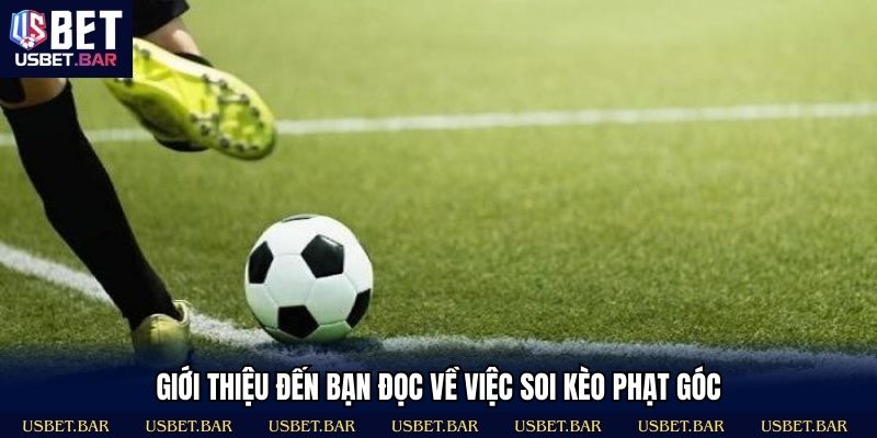 Khám phá soi kèo phạt góc bí quyết dự đoán cực chuẩn